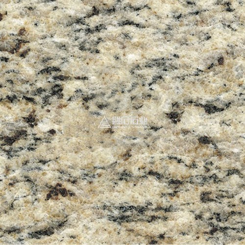 Giallo Santa Cecilia||娛樂金麻